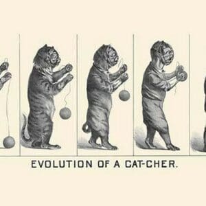 Evolution of a Cat-cher by H.S. Crocker & Co. - Art Print