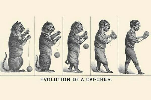 Evolution of a Cat-cher by H.S. Crocker & Co. - Art Print