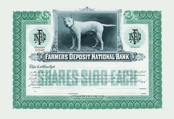 Farmer's Deposit National Bank - Art Print