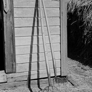 Farming Tools Still Life by Dorothea Lange - Art Print