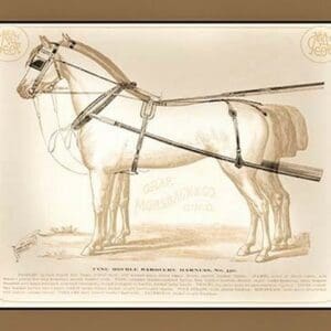 Fine Double Barouche Harness - Art Print