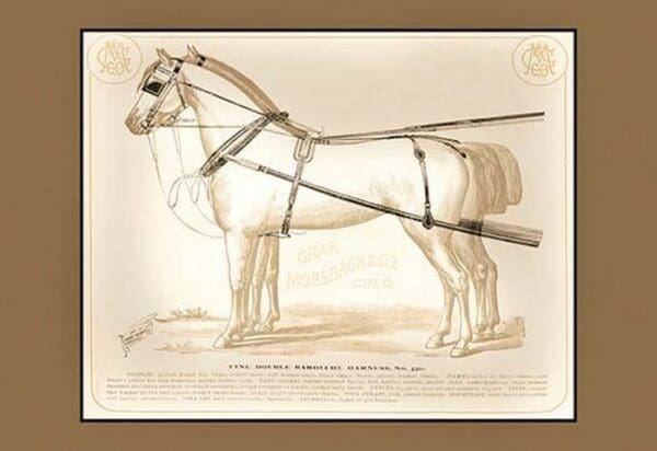 Fine Double Barouche Harness - Art Print