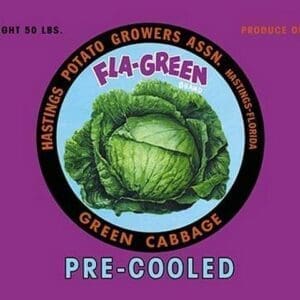 Fla-Green Green Cabbage - Art Print