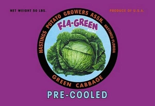 Fla-Green Green Cabbage - Art Print