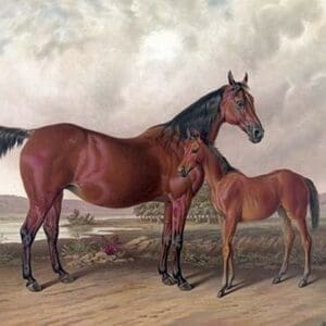 Flora Temple and her colt - Art Print