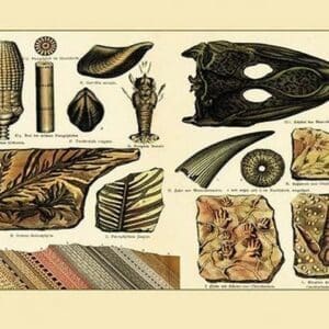 Fossil Ferns and Fish #3 - Art Print