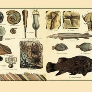 Fossil Ferns and Fish #4 - Art Print