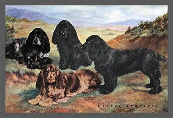 Four Cocker Spaniels - Art Print