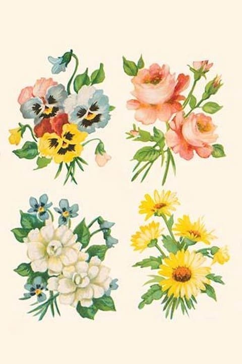 Four Flower Collections - Art Print