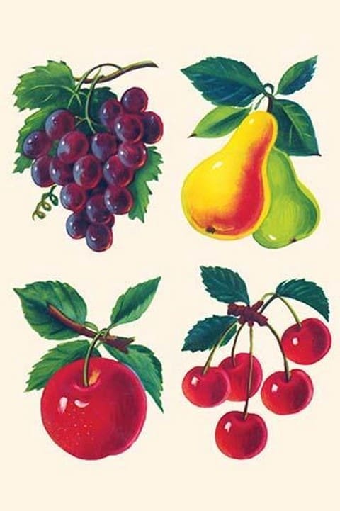 Four Fruits - Art Print