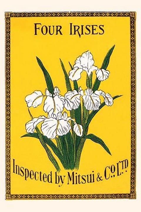 Four Irises - Art Print