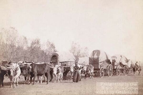 Freighting in the Black Hills by John C.H. Grabill - Art Print