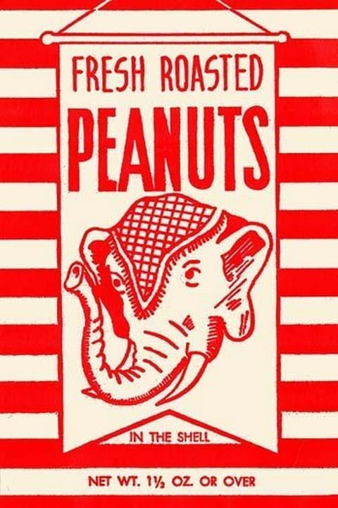 Fresh Roasted Peanuts - Art Print