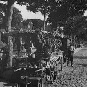 Fruit Stands on the Prado - Art Print