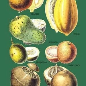 Fruits and Nuts #2 - Art Print