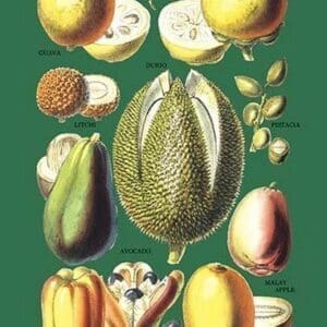 Fruits and Nuts - Art Print