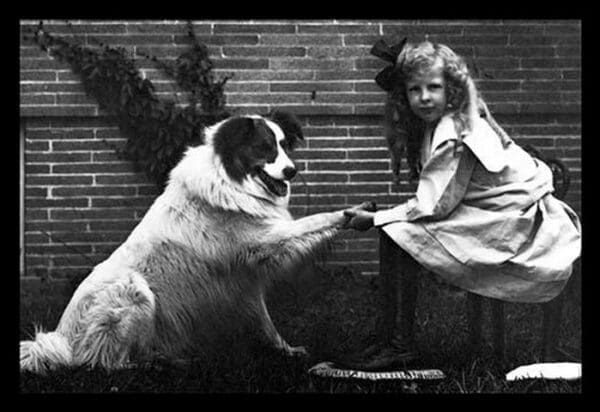 Girl Shaking Hands with Dog - Art Print