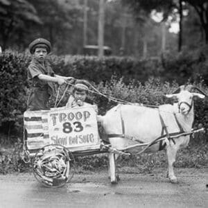 Goat Pulls Young Boys Cart in the Tacoma Festival - Art Print