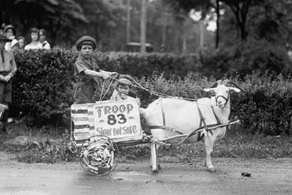 Goat Pulls Young Boys Cart in the Tacoma Festival - Art Print