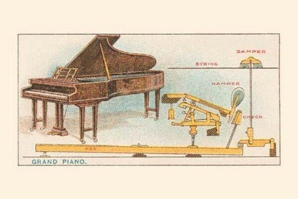 Grand Piano - Art Print