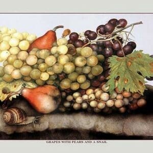 Grapes and Pears with a Snail by Giovanna Garzoni - Art Print