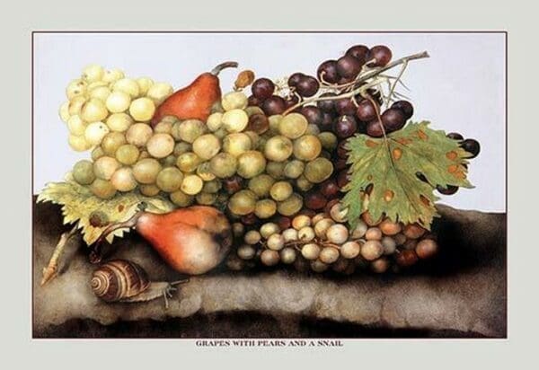 Grapes and Pears with a Snail by Giovanna Garzoni - Art Print