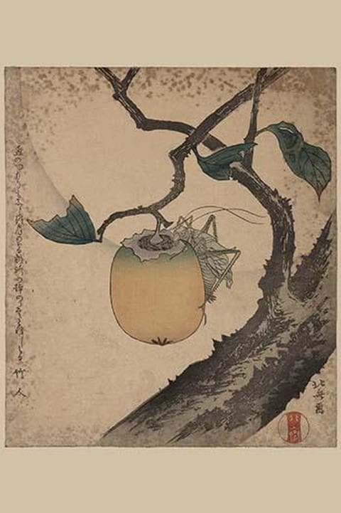 Grasshopper eating persimmon. by Katsushika Hokusai - Art Print