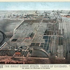 Great Union Stockyards of Chicago by Charles Rascher - Art Print