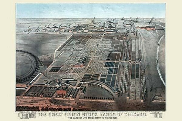 Great Union Stockyards of Chicago by Charles Rascher - Art Print