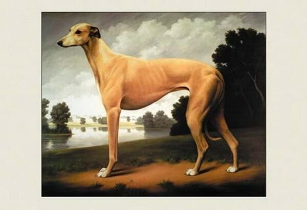 Greyhound on a Parkland Landscape by Christine Merrill - Art Print