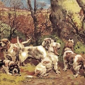 Griffon Vendeen Bassets by Baron Karl Reille - Art Print