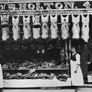 Hammersmith Butcher