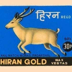 Hiran Gold Wax Vestas - Art Print