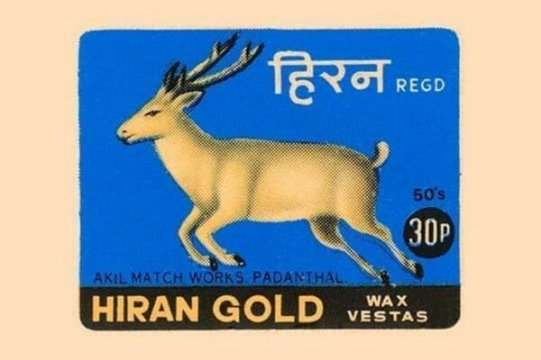 Hiran Gold Wax Vestas - Art Print