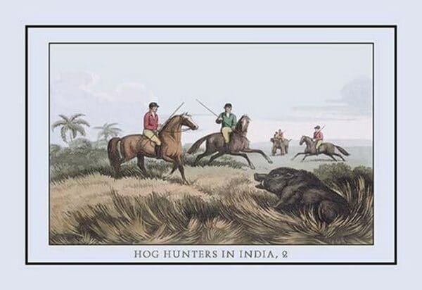 Hog Hunters in India