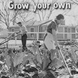 Homegrown food is homegrown wealth. by Dorothea Lange - Art Print