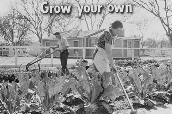 Homegrown food is homegrown wealth. by Dorothea Lange - Art Print