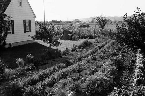 Homestead Project by Dorothea Lange - Art Print