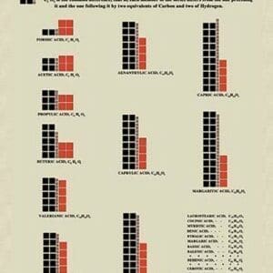 Homolgous Series of Compounds by Edward L. Youmans - Art Print