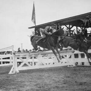 Horse Show in Washington DC; Horses Jump Fence - Art Print