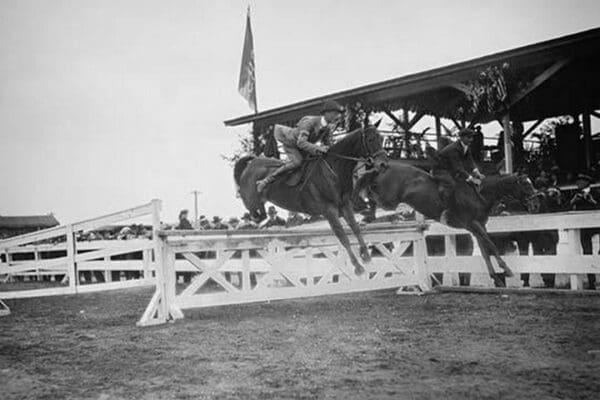 Horse Show in Washington DC; Horses Jump Fence - Art Print