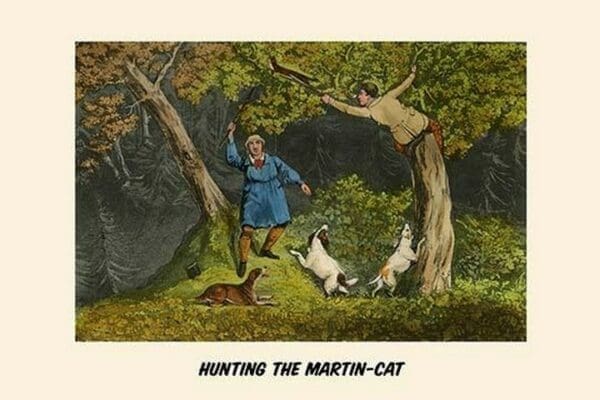 Hunting the Martin Cat by Henry Alken - Art Print