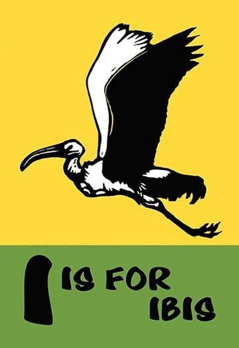 I is for Ibis by Charles Buckles Falls - Art Print