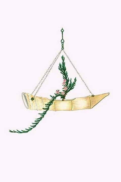 Ibuki & Nichinichi So (Cypress and Lochnera Rosea) in a suspended Boat Shaped Bamboo Vase by Josiah Conder #2 - Art Print