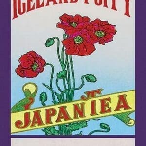 Iceland Poppy Tea - Art Print