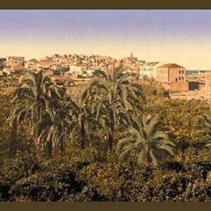 Jaffa Garden by Detroit Photographic Company - Art Print