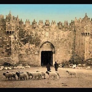 Jerusalem Gate by Detroit Photographic Company - Art Print