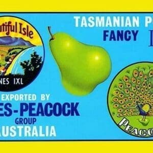 Jones-Peacock Tasmanian Pears - Art Print