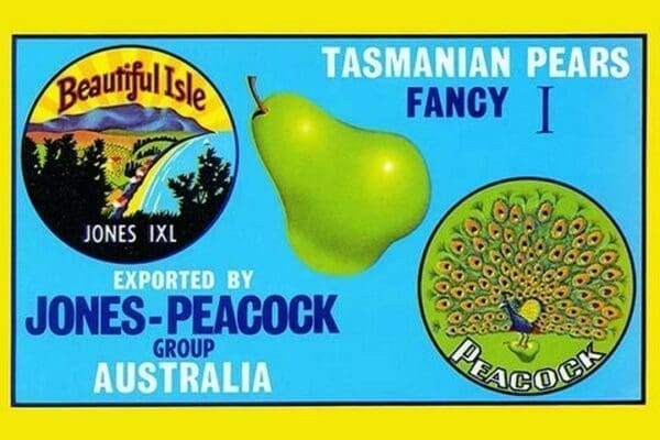 Jones-Peacock Tasmanian Pears - Art Print