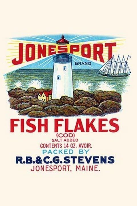 Jonesport Fish Flakes #3 - Art Print